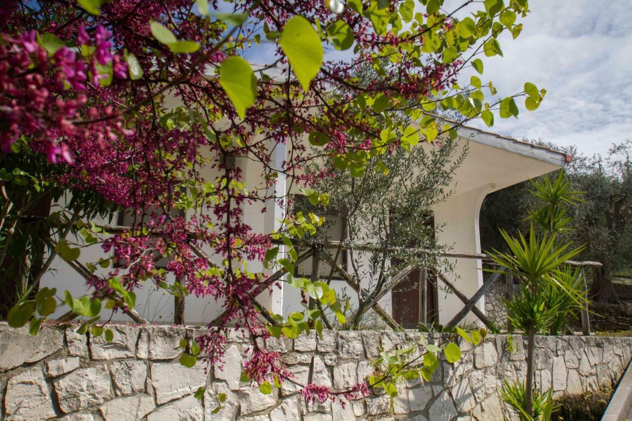 סן מנאיו Village Valle D'Oro Aparthotel מראה חיצוני תמונה