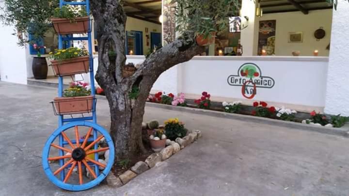 סן מנאיו Village Valle D'Oro Aparthotel מראה חיצוני תמונה
